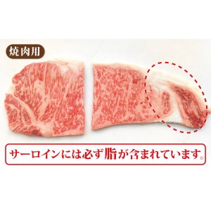 松阪肉あみ焼き(焼肉) 100g2,000円 1.0kg