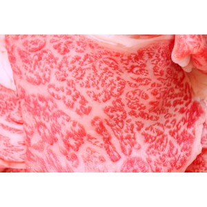 特産松阪肉すき焼き 100g5,000円 1.0kg 【発送日ご指定不可】